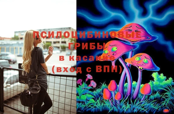 ALPHA-PVP Бородино